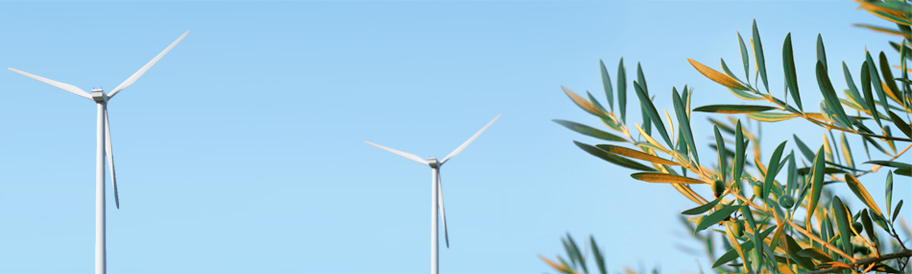 Σχετικά με τον ΟΑΣ